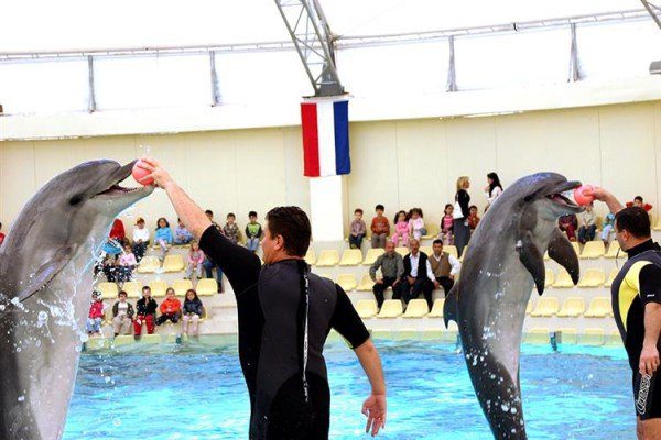 Aqua Club Dolphin - Parc aquatique Esenyurt Istanbul